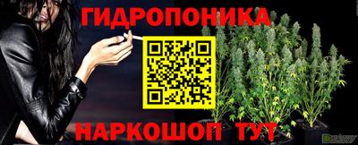 ALPHA PVP Пугачёв